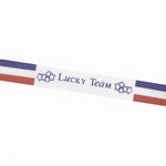 French Flag - Bracelet Satin