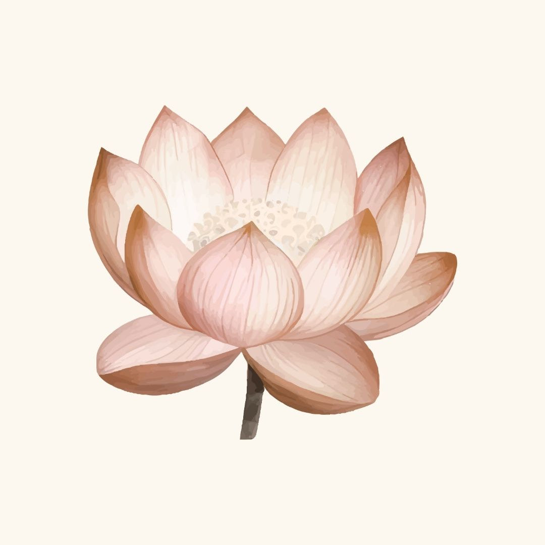 FLEUR DE LOTUS.
