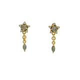 Star stone and zircon earrings