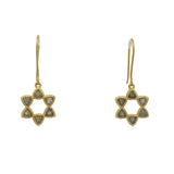 Gold Star of David Stone Earrings