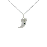 Collier en argent 925 corne d'abondance