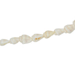 Collier doré et coquillages