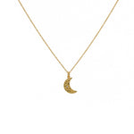 Collier doré demi lune martelée et zircon