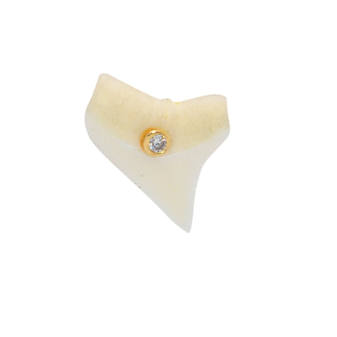 Boucle dorée dent de requin et zircon a l’unité