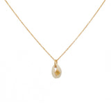 Collier doré cauri et rose des vents