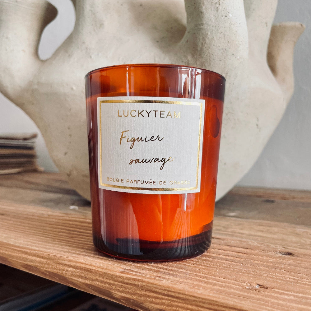 Bougie - Figuier sauvage