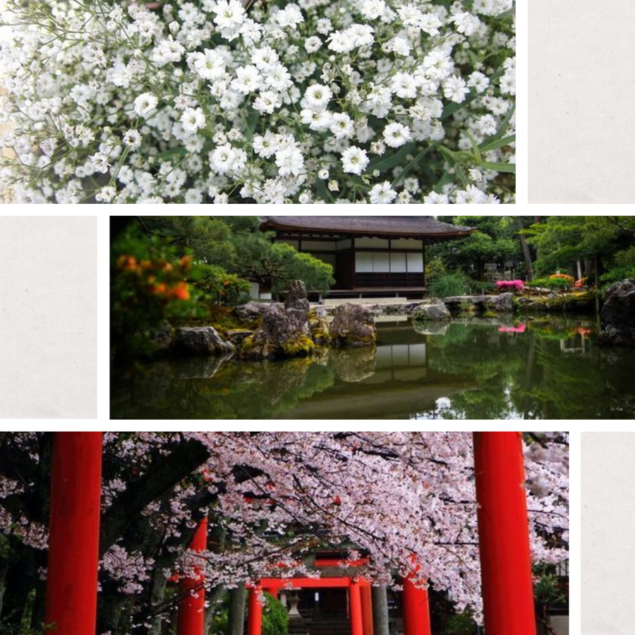 Eau de Parfum Fleur d'eau - Kyoto